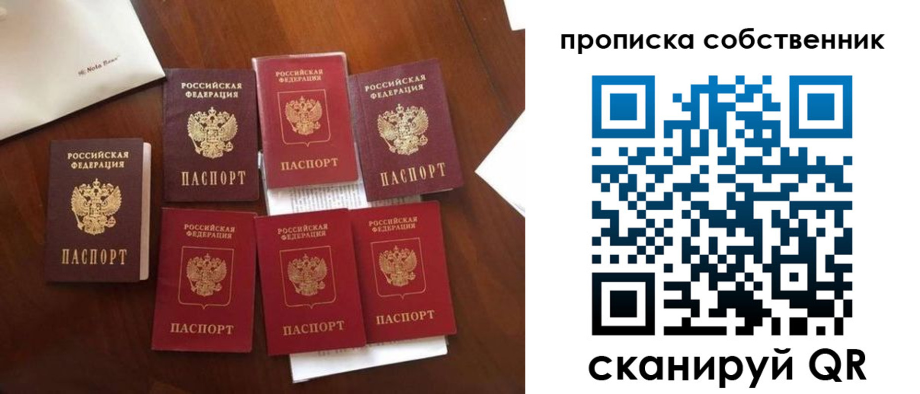 прописка для школы в Боровичах